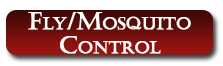 Click Here To Buy Fly/ Mosquito Control For Horses